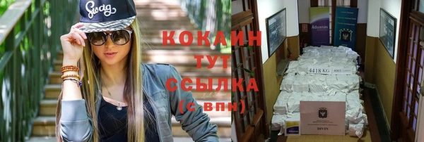 тгк Володарск